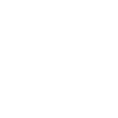Custom Workout Plans