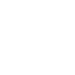 Diverse Training Styles